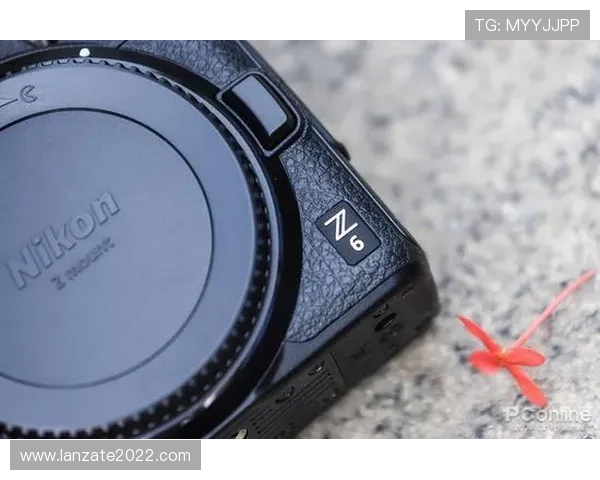 Z6体育网站的特色功能全面介绍及使用技巧分享